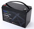 MaxLi 12V 100Ah Lithium battery LiFePO4 battery with smart BMS bluetooth App for marine/solar energy OEM ODM